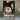 Castrol EDGE 5W-50 Synthetic Motor Oil (5L)